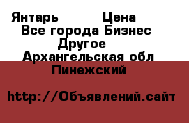 Янтарь.Amber › Цена ­ 70 - Все города Бизнес » Другое   . Архангельская обл.,Пинежский 